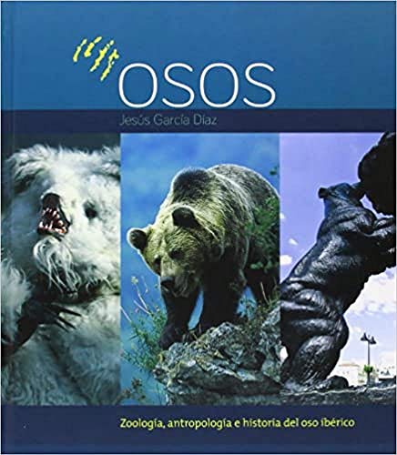 Osos