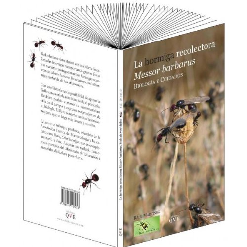 9788415127253: La hormiga recolectora Messor Barbarus: biologa y cuidados