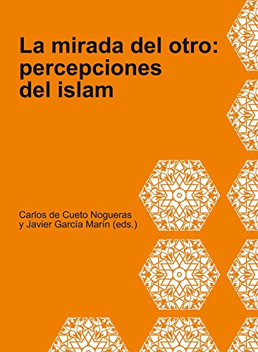 Stock image for La Mirada del Otro: Persepciones del Islam for sale by medimops