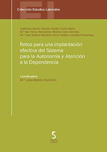 Stock image for Retos para una implantacin efectiva Barrios Baudor, Guillermo Leandr for sale by Iridium_Books