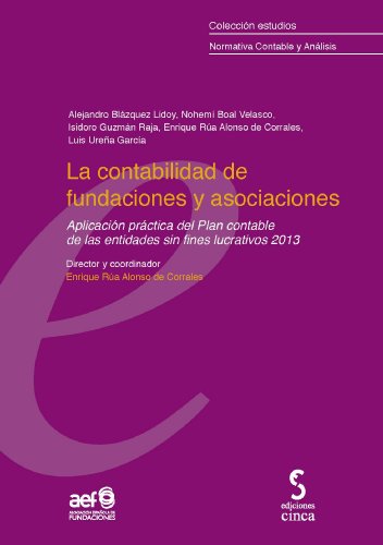 9788415305507: La contabilidad de fundaciones y asociaciones : aplicacin del plan contable de las entidades sin fines lucrativos