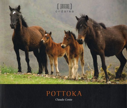 Beispielbild fr POTTOKA Coste, Claude et Olaizola, Panpi zum Verkauf von BIBLIO-NET
