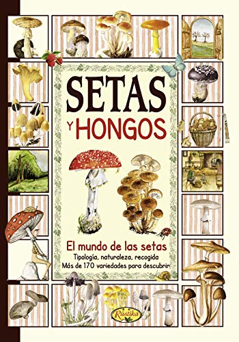 SETAS Y HONGOS