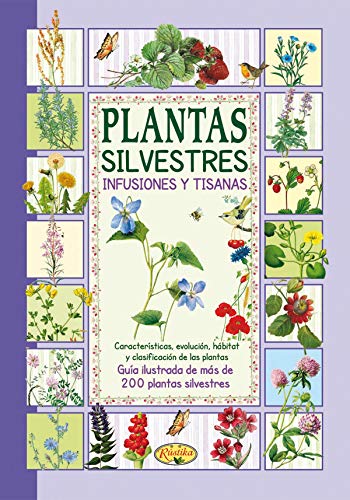 9788415401766: Plantas silvestres, infusiones y tisanas