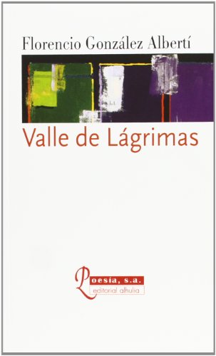 Imagen de archivo de Valle De Lagrimas a la venta por Hilando Libros