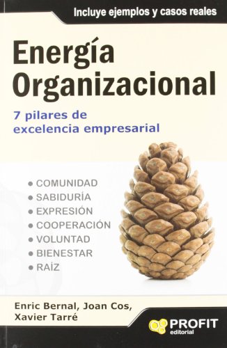 9788415505525: Energa organizacional: 7 pilares de excelencia empresarial (Spanish Edition)