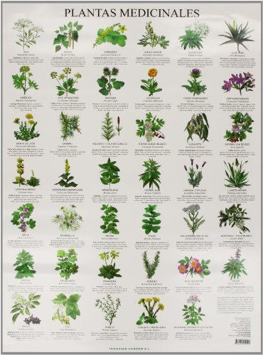 Imagen de archivo de PLANTAS MEDICINALES - POSTER a la venta por Iridium_Books