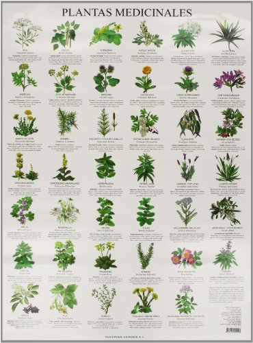 9788415612117: Plantas medicinales (Terapias Lminas)