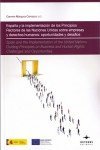 9788415663300: Espaa y la implementacin de los principios rectores de las Naciones Unidas sobre empresas y derechos humanos: oportunidades y desafos