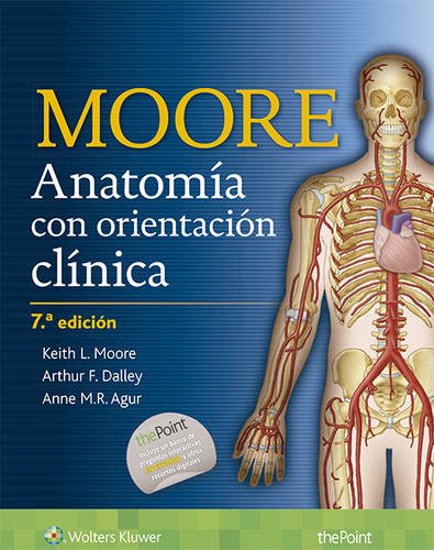 9788415684770: Anatoma con orientacin clnica / Clinically-Oriented Anatomy