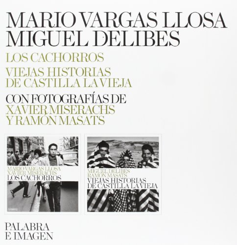 Stock image for Estuche Palabra e Imagen. Delibes, Miguel / Vargas Llosa, for sale by Iridium_Books