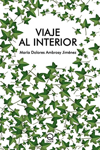 Stock image for VIAJE AL INTERIOR for sale by Librerias Prometeo y Proteo