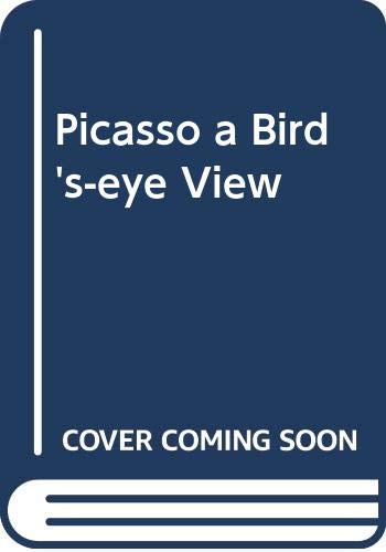 Stock image for PICASSO A BIRD'S-EYE VIEW for sale by Siglo Actual libros