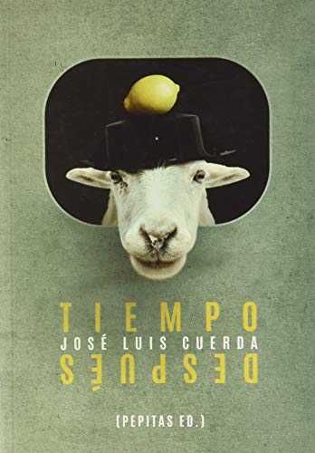 Stock image for TIEMPO DESPUS for sale by KALAMO LIBROS, S.L.