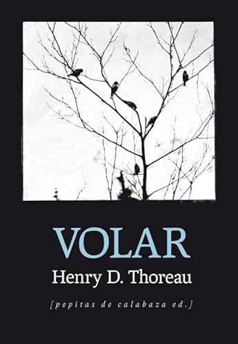 Stock image for VOLAR for sale by KALAMO LIBROS, S.L.