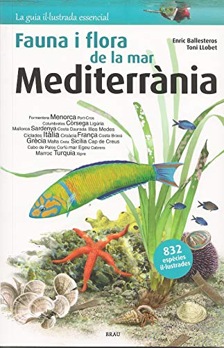 Imagen de archivo de Flora i fauna de la mar Mediterrnia (Guia il lustrada essencial, Band 1) a la venta por medimops