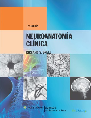 9788416004188: Neuroanatoma clnica: Edicin revisada (Spanish Edition)