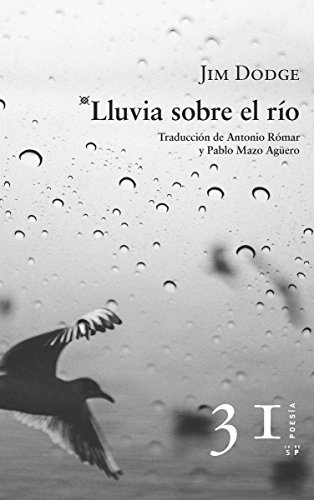 Imagen de archivo de LLUVIA SOBRE EL RO a la venta por KALAMO LIBROS, S.L.