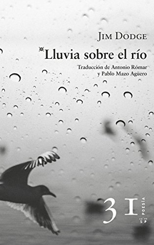 Stock image for LLUVIA SOBRE EL RO for sale by KALAMO LIBROS, S.L.