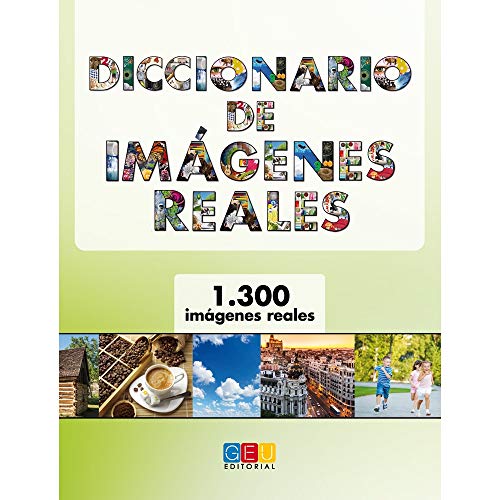 Stock image for DICCIONARIO DE IMGENES REALES for sale by Librerias Prometeo y Proteo