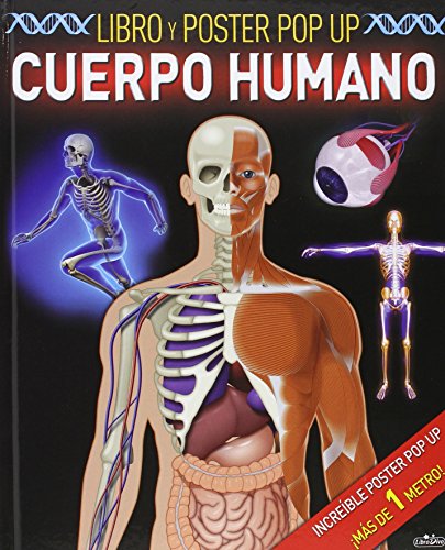 Stock image for Cuerpo humano pop up for sale by Iridium_Books