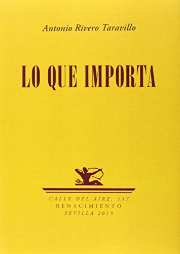 Stock image for LO QUE IMPORTA for sale by KALAMO LIBROS, S.L.