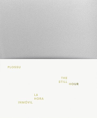 Still Hour - Plossu, Bernard