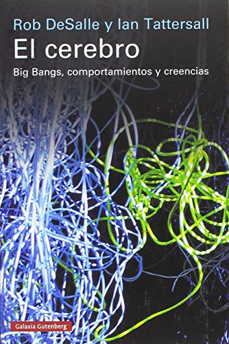 Beispielbild fr EL CEREBRO: Big Bangs, comportamiento y creencias zum Verkauf von KALAMO LIBROS, S.L.