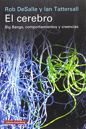 9788416252268: El cerebro: Big Bangs, comportamientos y creencias