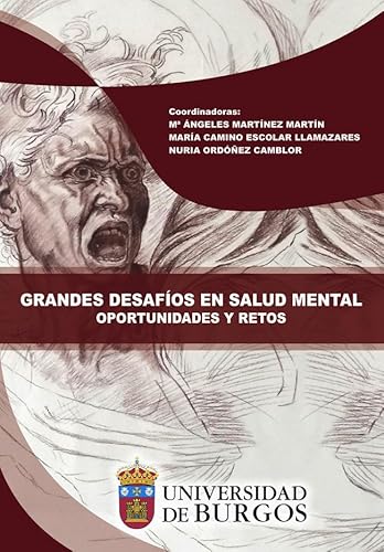 Imagen de archivo de Grandes desafos en salud mental. Oportunidades y retos a la venta por Zilis Select Books