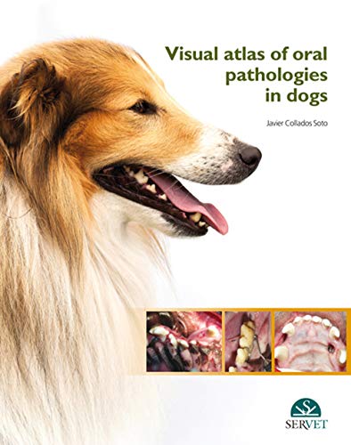 Imagen de archivo de Visual atlas of oral pathologies in dogs a la venta por Iridium_Books