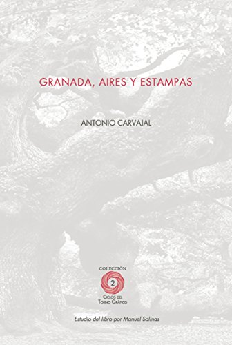 Stock image for Granada, Aires y Estampas for sale by Hamelyn