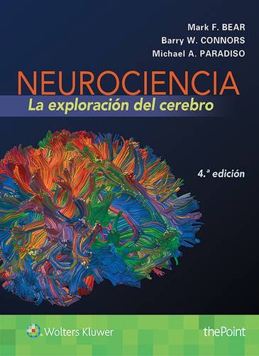 Stock image for Neurociencia. La exploracin del cerebro (Spanish Edition) for sale by Iridium_Books