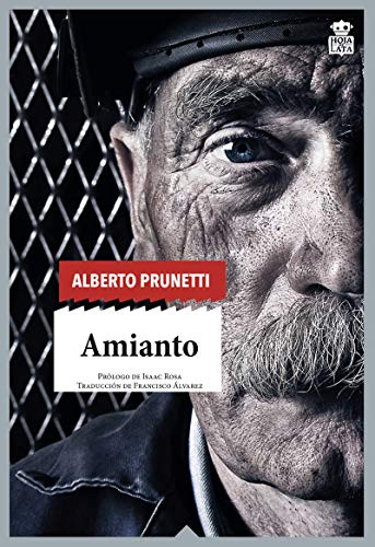 Stock image for AMIANTO for sale by KALAMO LIBROS, S.L.