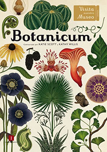 Imagen de archivo de Botanicum a la venta por thebookforest.com