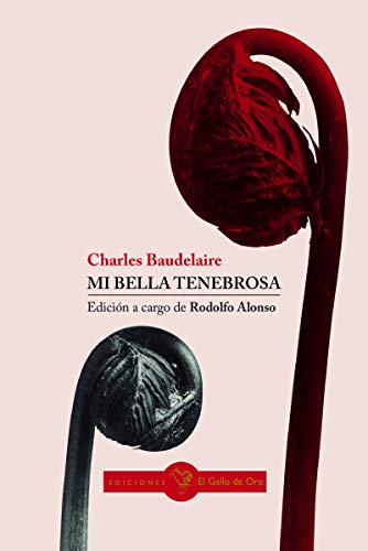 Stock image for MI BELLA TENEBROSA for sale by KALAMO LIBROS, S.L.