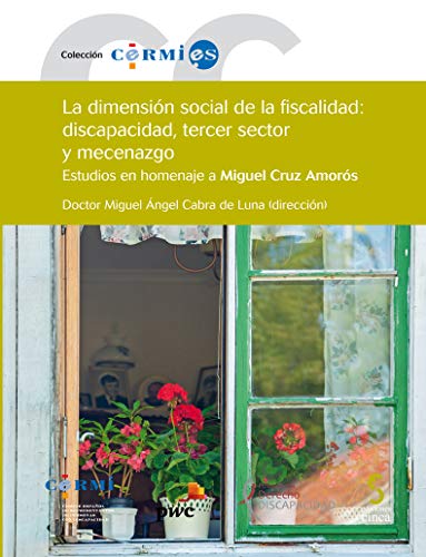 Beispielbild fr LA DIMENSIN SOCIAL DE LA FISCALIDAD: DISCAPACIDAD, TERCER SECTOR Y MECENAZGO zum Verkauf von Hilando Libros