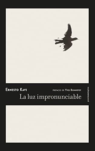 Stock image for LA LUZ IMPRONUNCIABLE for sale by KALAMO LIBROS, S.L.