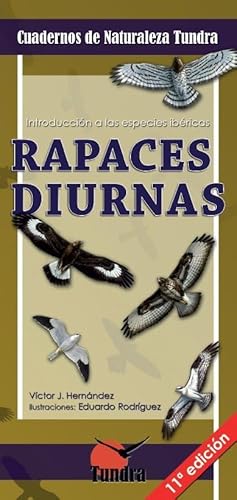 Imagen de archivo de Rapaces diurnas a la venta por Hilando Libros