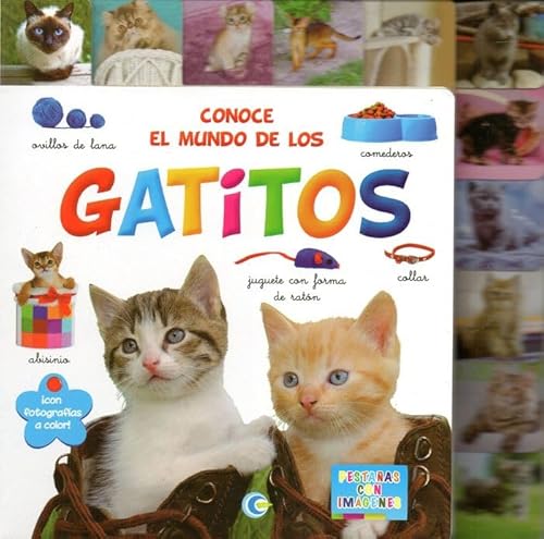 Imagen de archivo de CONOCE EL MUNDO DE LOS GATITOS a la venta por Libros Ramban