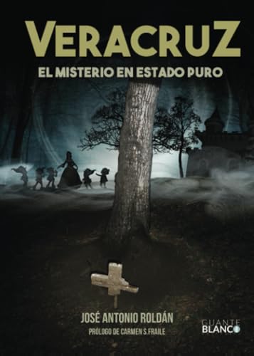 Imagen de archivo de VERACRUZ EL MISTERIO EN ESTADO PURO (Spanish Edition) a la venta por Book Deals