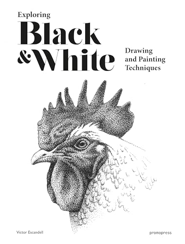 Beispielbild fr Exploring Black and White: Drawing and Painting Techniques zum Verkauf von Goodwill Books