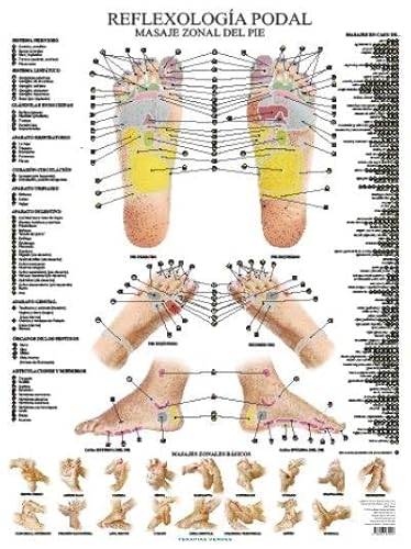 9788416972418: Reflexologa podal (Terapias Lminas)