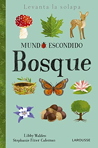 Beispielbild fr Mundo escondido. Bosque zum Verkauf von medimops