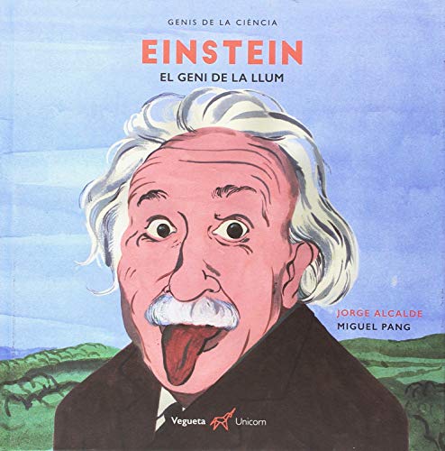 Imagen de archivo de Einstein a la venta por AG Library