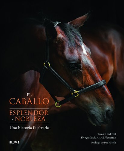 Beispielbild fr EL CABALLO. ESPLENDOR Y NOBLEZA: UNA HISTORIA ILUSTRADA zum Verkauf von KALAMO LIBROS, S.L.