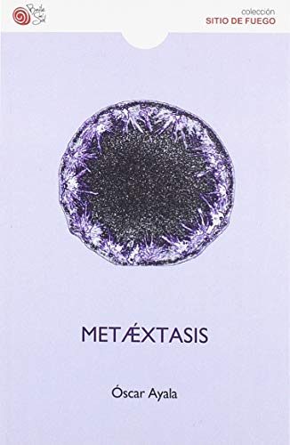 Imagen de archivo de METAEXTASIS a la venta por Siglo Actual libros