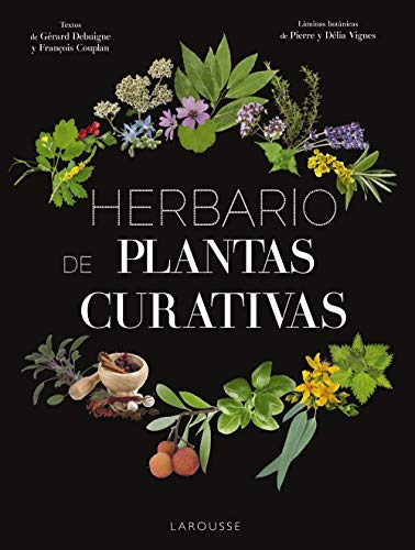 9788417273415: Herbario de plantas curativas