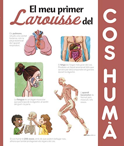 Beispielbild fr El meu primer Larousse del cos hum (LAROUSSE - Infantil / Juvenil - Cataln - A partir de 8 aos) zum Verkauf von medimops