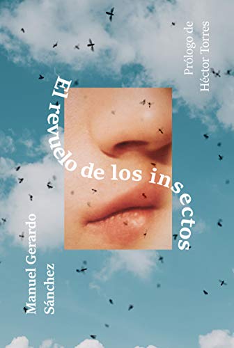 Stock image for El revuelo de los insectos for sale by Siglo Actual libros